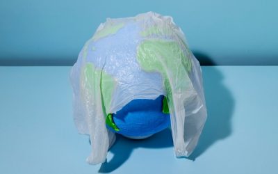 No more single-use plastic bags at 16 retail chains from Oct 1