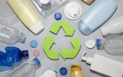 Breaking Down Plastics: “Biodegradable” vs. “Polymateria Biotransformation”