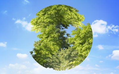 Updates in Sustainability Standards for 2025 and Beyond