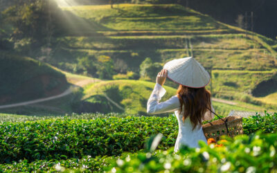 ESG: the new passport for Vietnam manufacturers