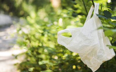 Selangor Expands Plastic Bag Ban to Three Days Weekly, Considers Higher Charges
