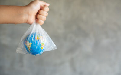 [OPINION]  California signs law banning all plastic bags at grocery stores