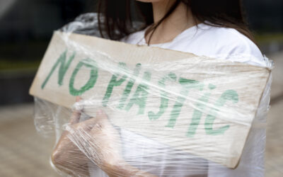 California to Ban Plastic Bags in 2026 – Stores Face $5,000 Fines