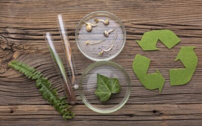 [OPINION] Indonesia pushes biodegradable plastic to tackle waste crisis