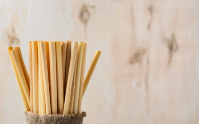 Penang: No more plastic bags in public, straws must be soluble materials by Sept 2026