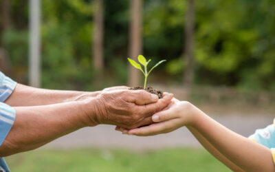 ISO 14001 and ISO 59000: Environmental Management and the Shift Toward a Circular Economy