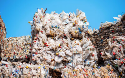 Recycling Alone Won’t Save Our Oceans: Why Plastic Production Must Be Addressed at the Source