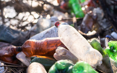 Malaysia and Ocean Plastic Pollution: Turning the Tide Against a Growing Environmental Crisis