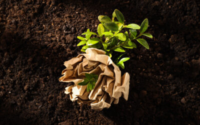 Compostable Packaging: A Sustainability Solution That Depends on Infrastructure